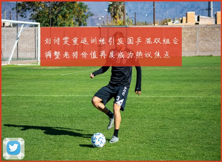 刘诗雯重返训练引发国乒混双组合调整老将价值再度成为热议焦点